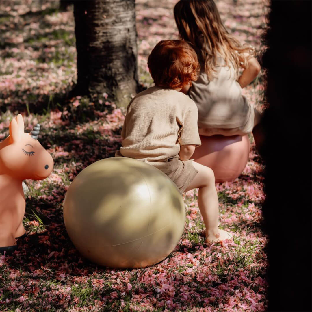 Twee kinderen zitten op Find that hippo skippyballen in een park met roze bloesem.