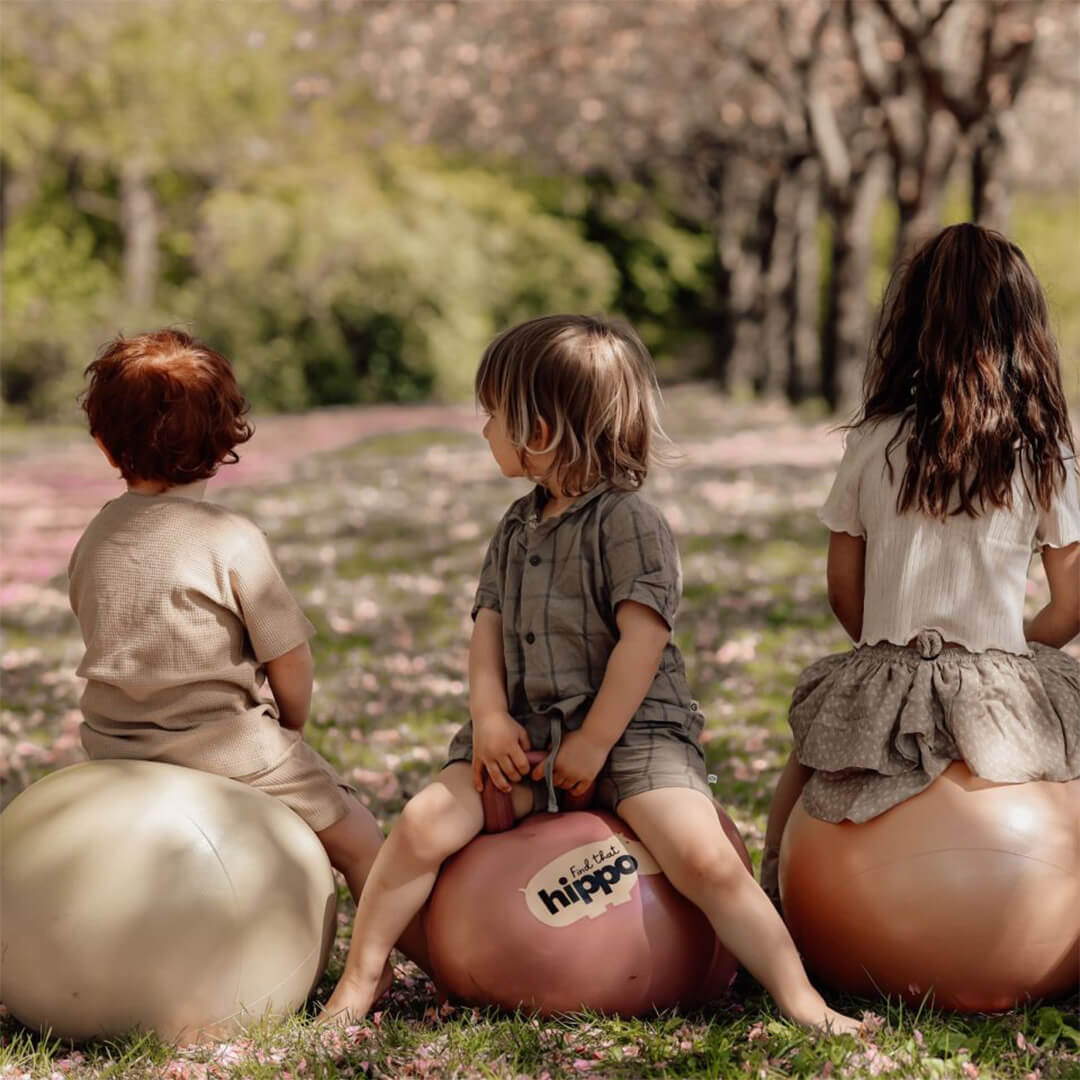 Drie kinderen zitten van achteren gezien op Find that hippo skippyballen in een park.
