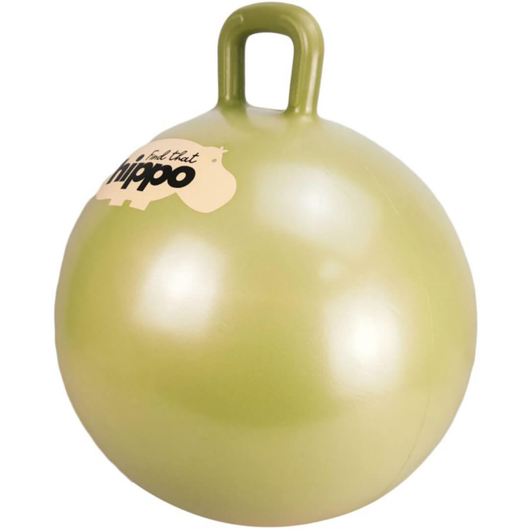 Find that hippo skippybal in oudgoud met een hippo logo, schuin van voren gefotografeerd.