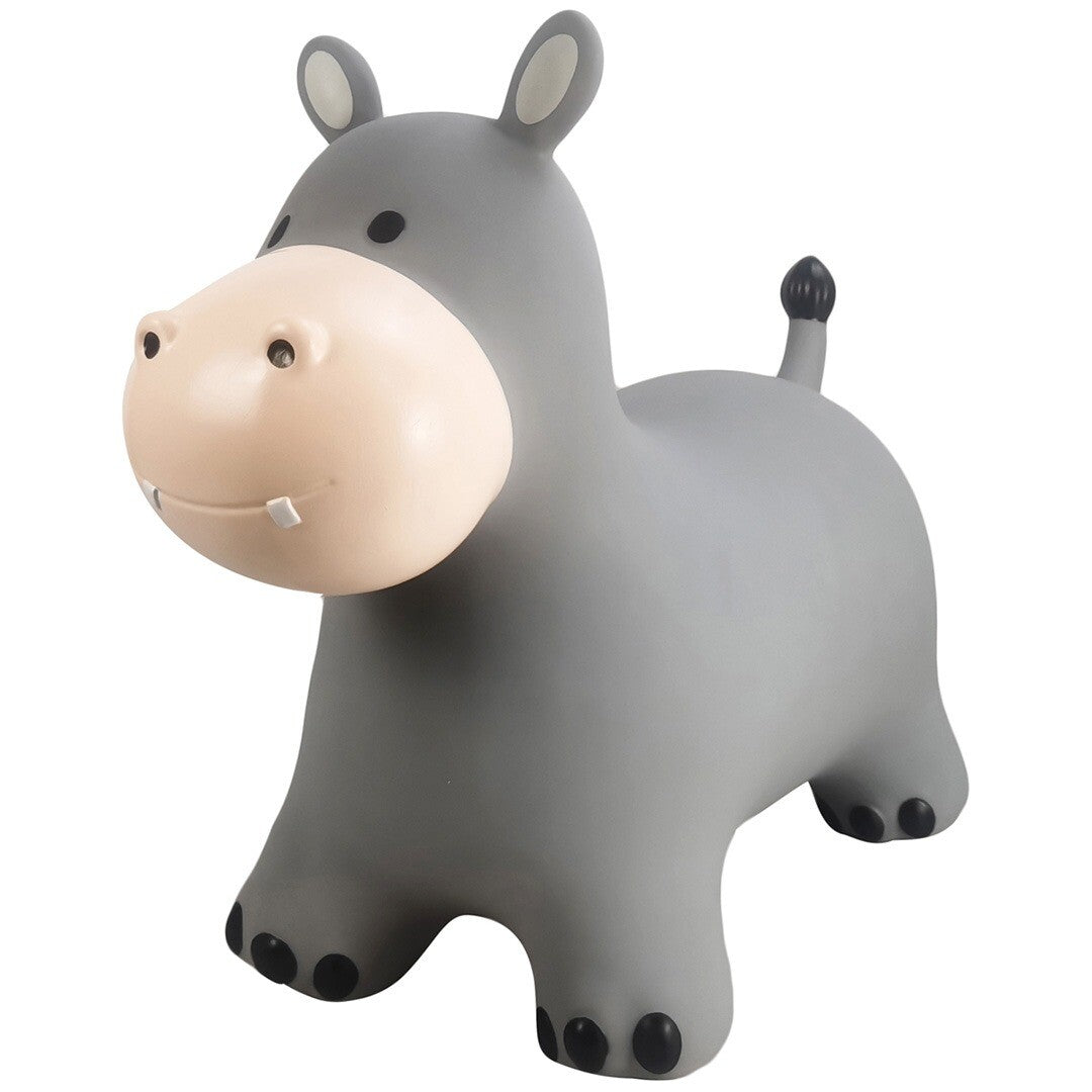 find that hippo grijs skippydier nijlpaard, schuin van voren gefotografeerd.