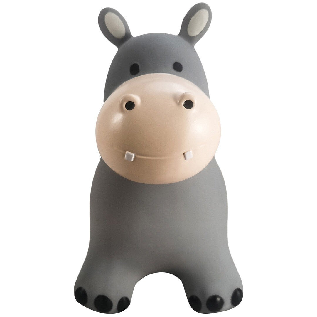 find that hippo grijs skippydier nijlpaard, recht van voren gefotografeerd.