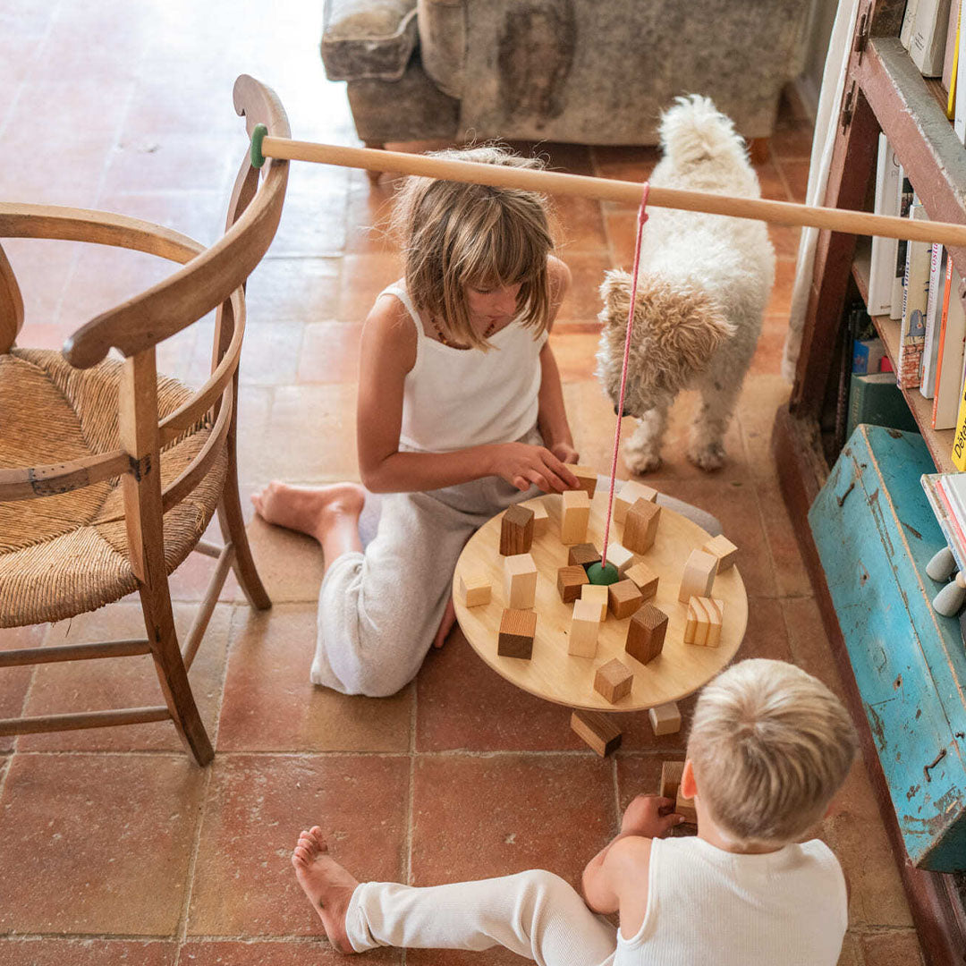 Twee kinderen spelen binnen met het Grapat balansbord en houten blokken, terwijl een hond toekijkt.