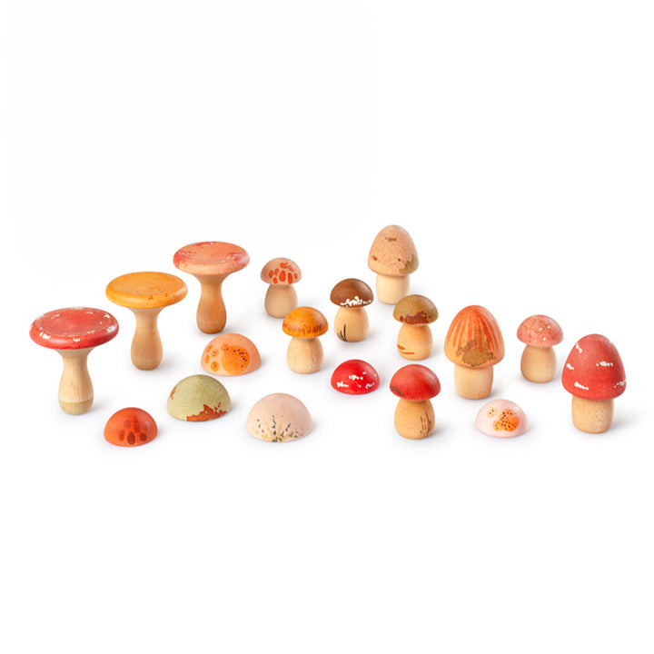 Grapat houten paddenstoelen speelgoedset met 18 stuks in diverse vormen en kleuren.