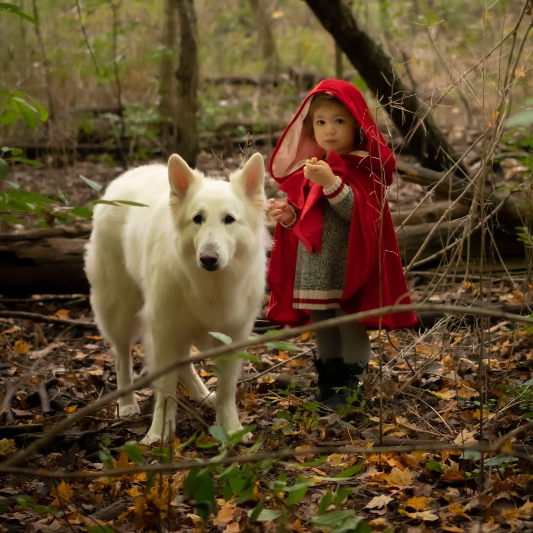 Meisje in de Great Pretenders Roodkapje verkleedcape staat naast een grote witte hond in het bos.