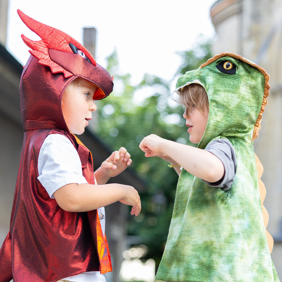 Twee kinderen in een rood draak en groen dino verkleedvest staan tegenover elkaar met gebalde vuisten.