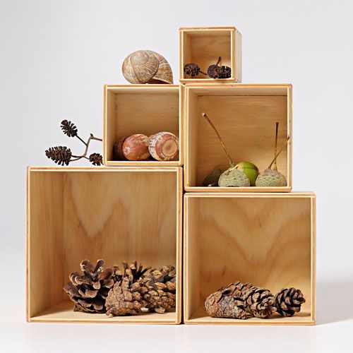 Vijf naturel houten kubussen gevuld met dennenappels, eikels en een slakkenhuis.