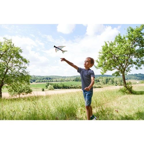 Een jongen lanceert het Haba Terra Kids katapultvliegtuigje in een groen landschap.