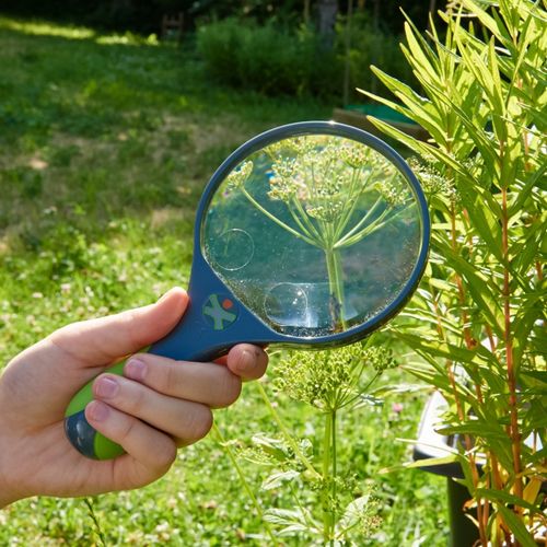 Een hand houdt het Haba Terra Kids vergrootglas om een plant in de tuin te bekijken.