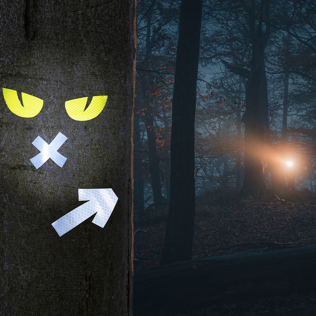 Reflecterende monsterogen, een kruis en een pijl op een boomstam in een donker, mistig bos, verlicht door een lamp.