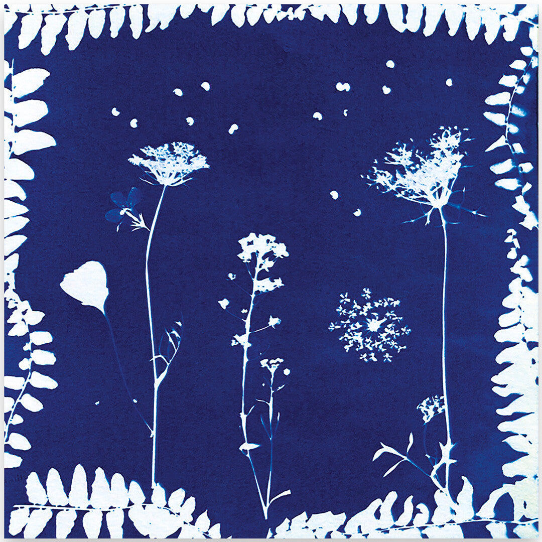 Een blauwe afdruk met witte silhouetten van diverse planten en bloemen.