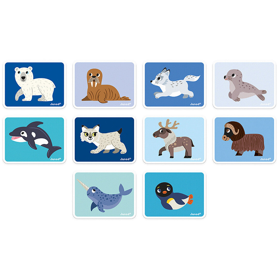 Tien Janod voorbeeldkaarten met illustraties van verschillende pooldieren.