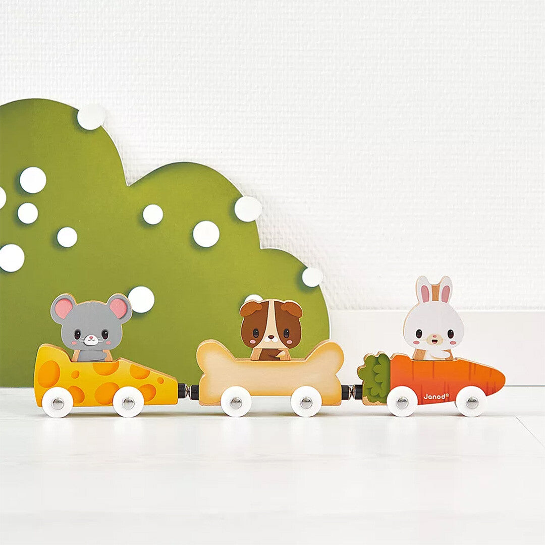 Janod magnetische houten speelgoedtrein met een muis in kaas, hond in bot en konijn in wortel, op een witte ondergrond met groene achtergrond.