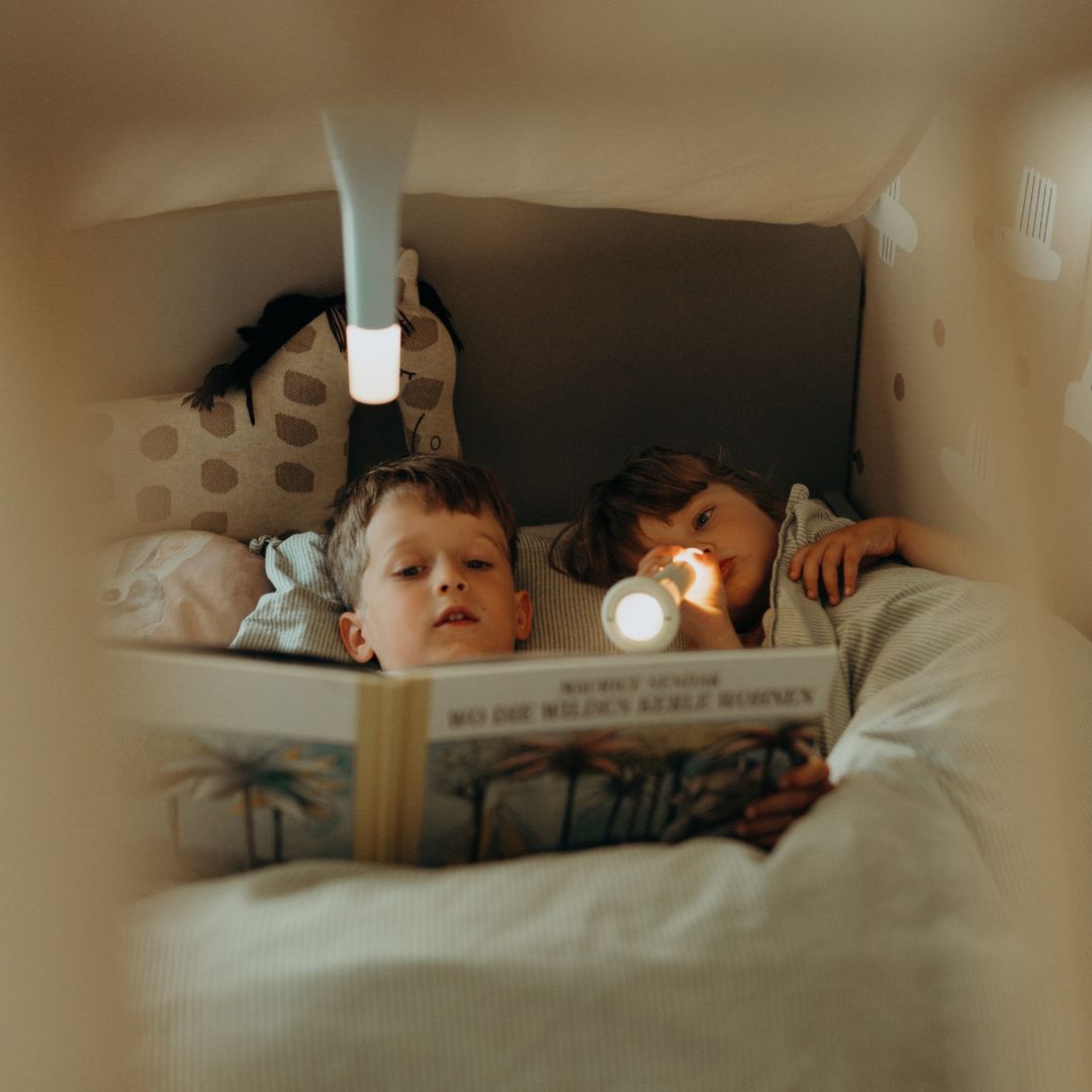 Twee kinderen lezen een boek in bed met een zaklamp.