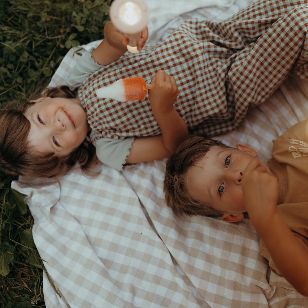 Twee kinderen liggen op een deken in het gras, één met een roze zaklamp.
