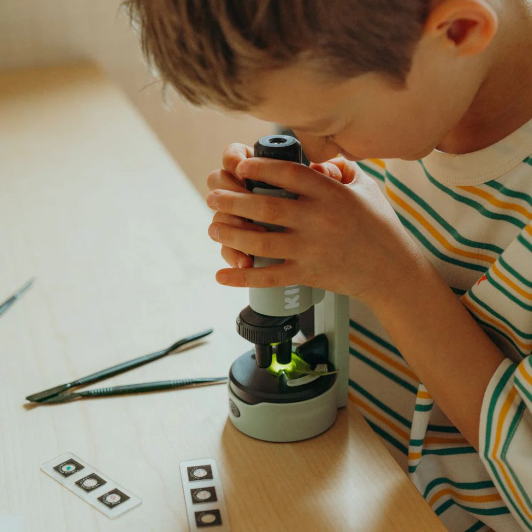 Een kind kijkt door de Kidywolf educatieve microscoop, met preparaten en gereedschap op tafel.