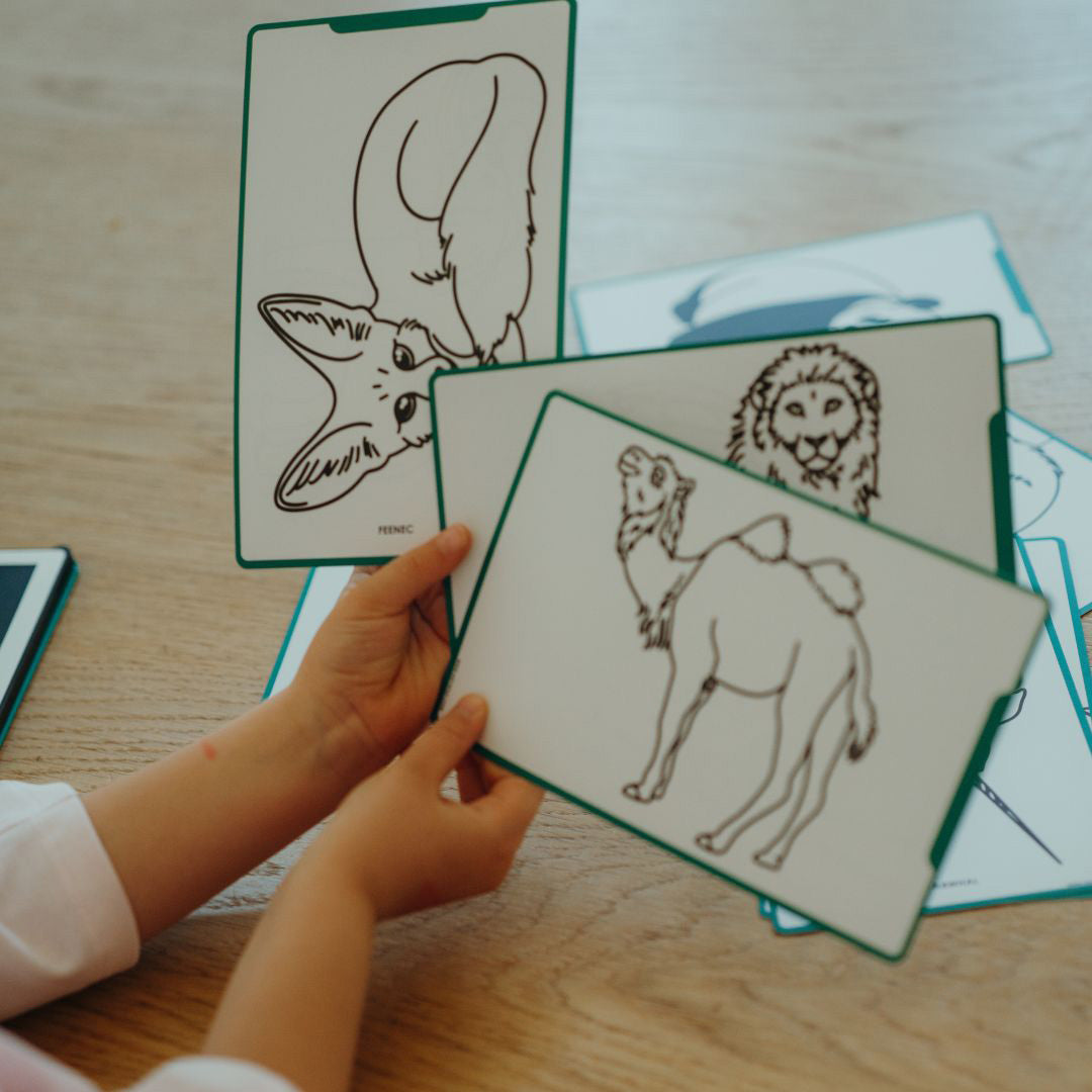 Kinderhanden houden een Kidywolf tekenkaart met een kameel vast, met andere dierenkaarten op tafel.