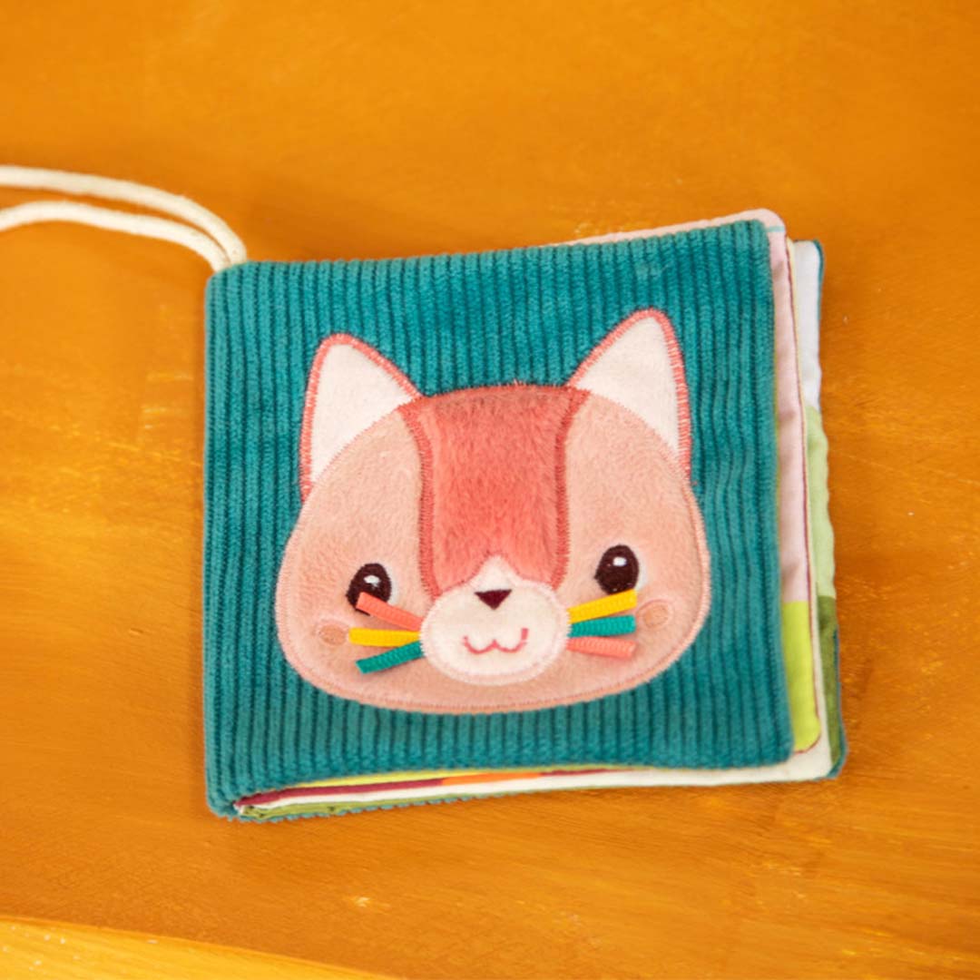 Detail van een stoffen babyboekje met een roze kattengezicht op een teal geribbelde kaft.