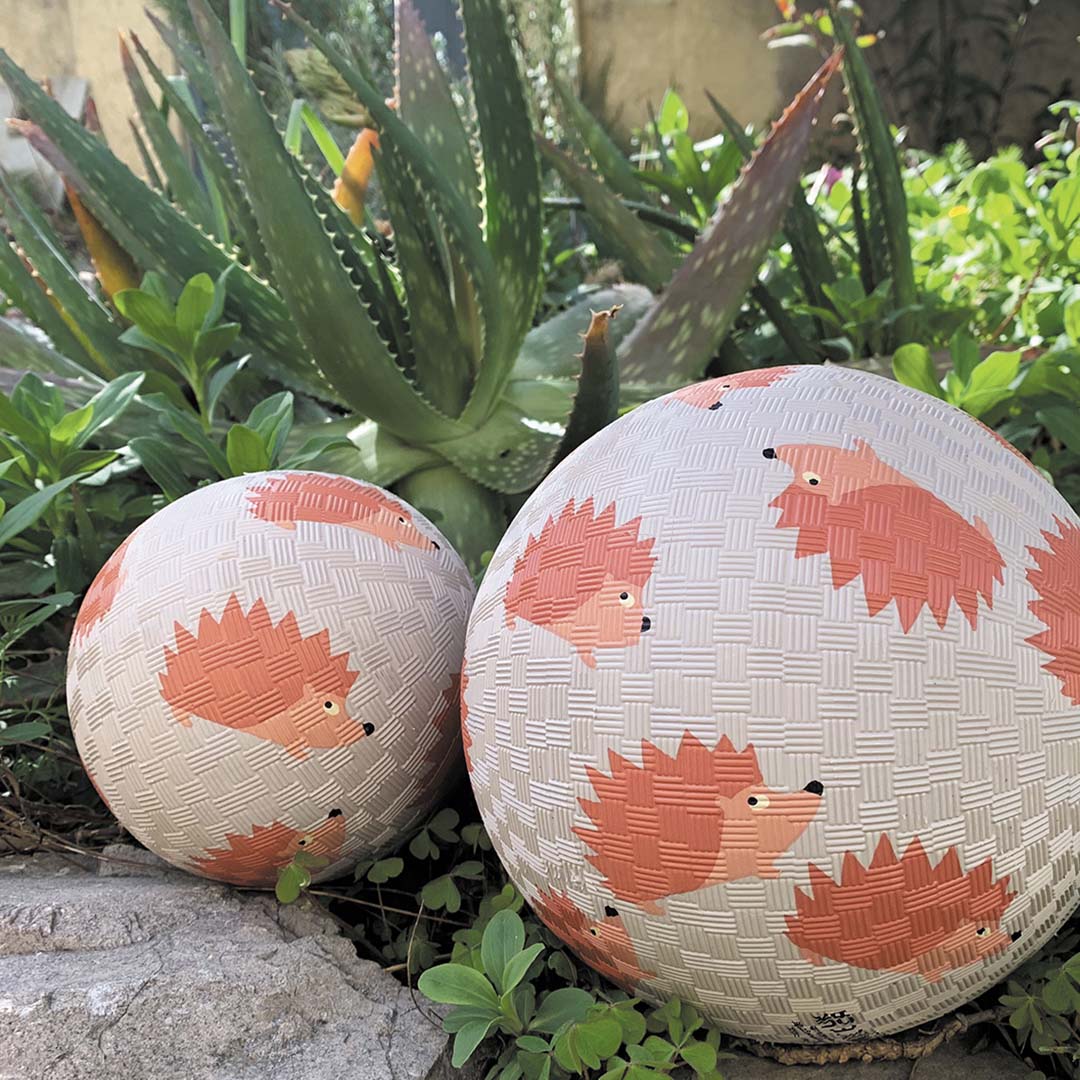 Twee maison petit jour speelballen met egelpatroon liggen op een steen in de tuin.