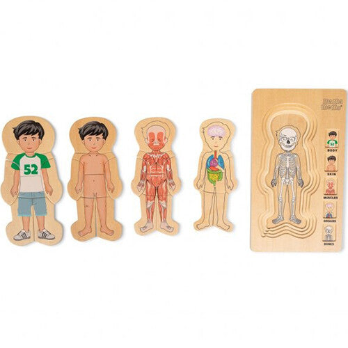 De mama memo houten puzzel van een jongen, met alle vijf lagen van het menselijk lichaam naast de puzzelplank uitgestald.