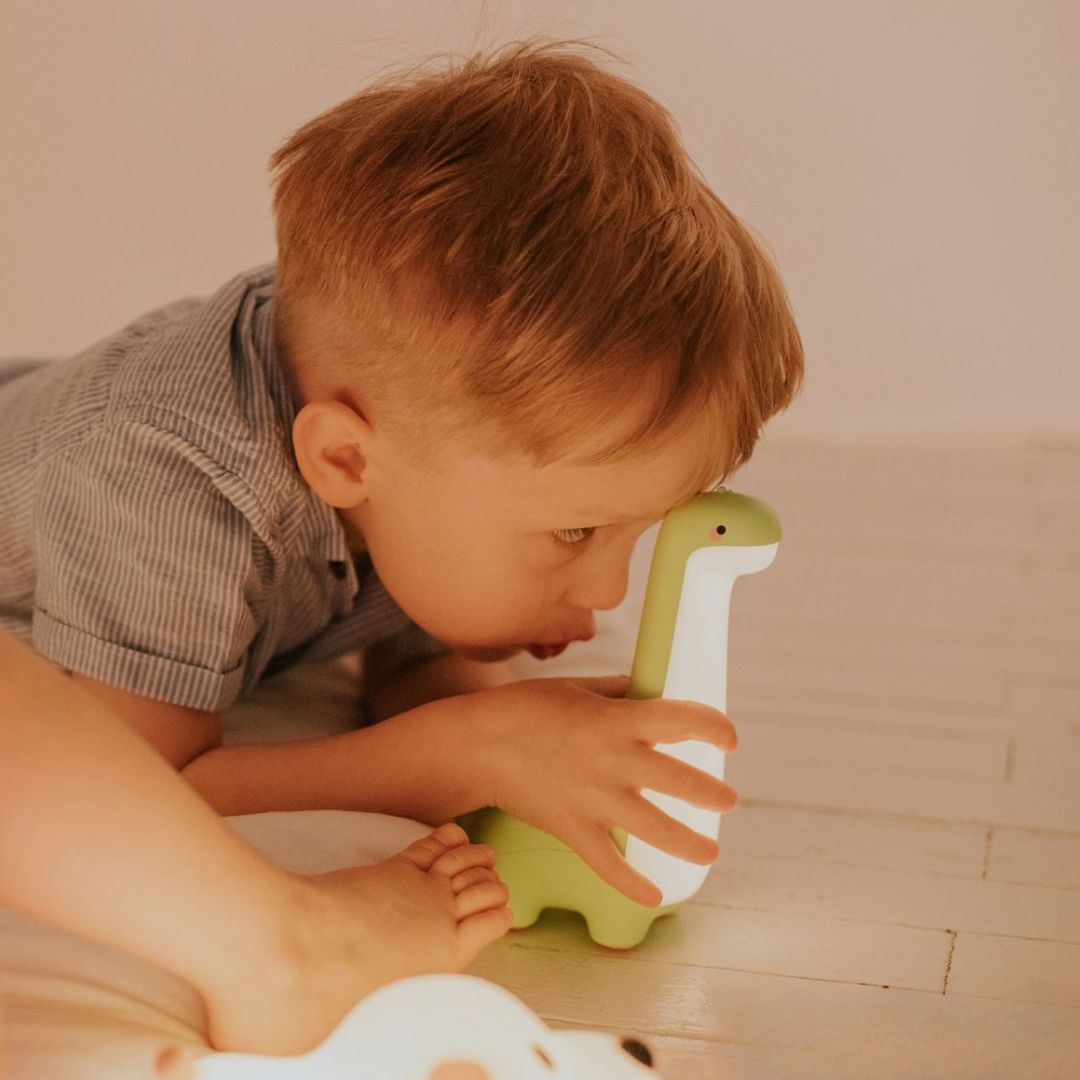 Een jongen ligt op de grond en kijkt naar het oplichtende groene dinosaurus nachtlampje.