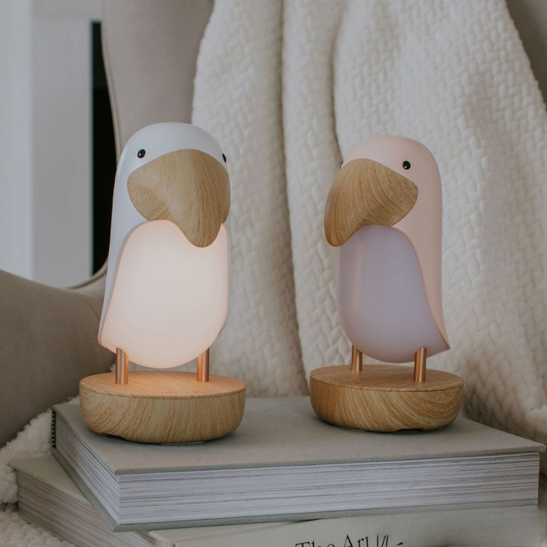 Twee mary's toekan nachtlampjes, één wit en één roze, brandend op een stapel boeken.