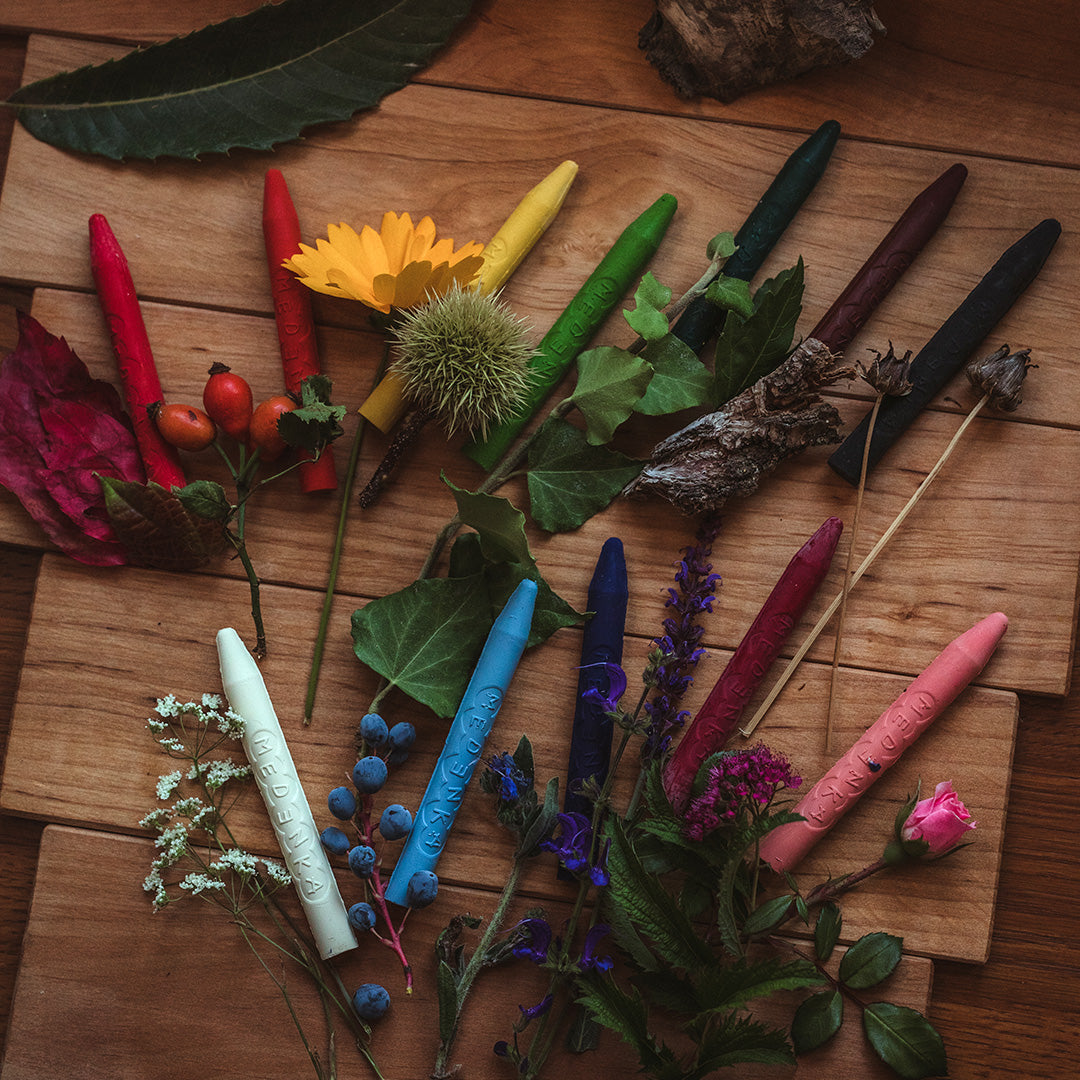 Medenka bijenwaskrijtjes in verschillende kleuren liggen tussen bladeren, bloemen en bessen op een houten ondergrond.