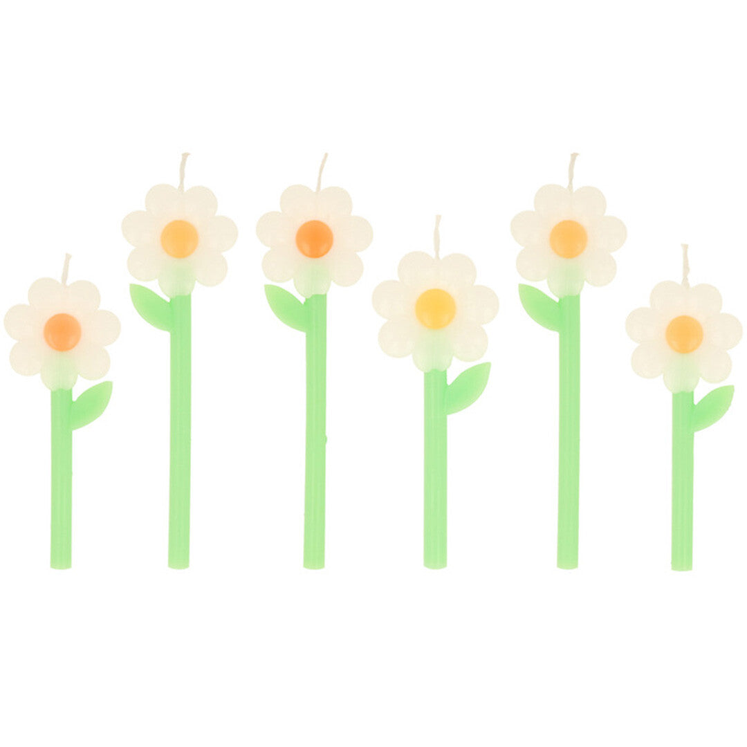 Zes meri meri feestkaarsjes in de vorm van madeliefjes met groene stelen.