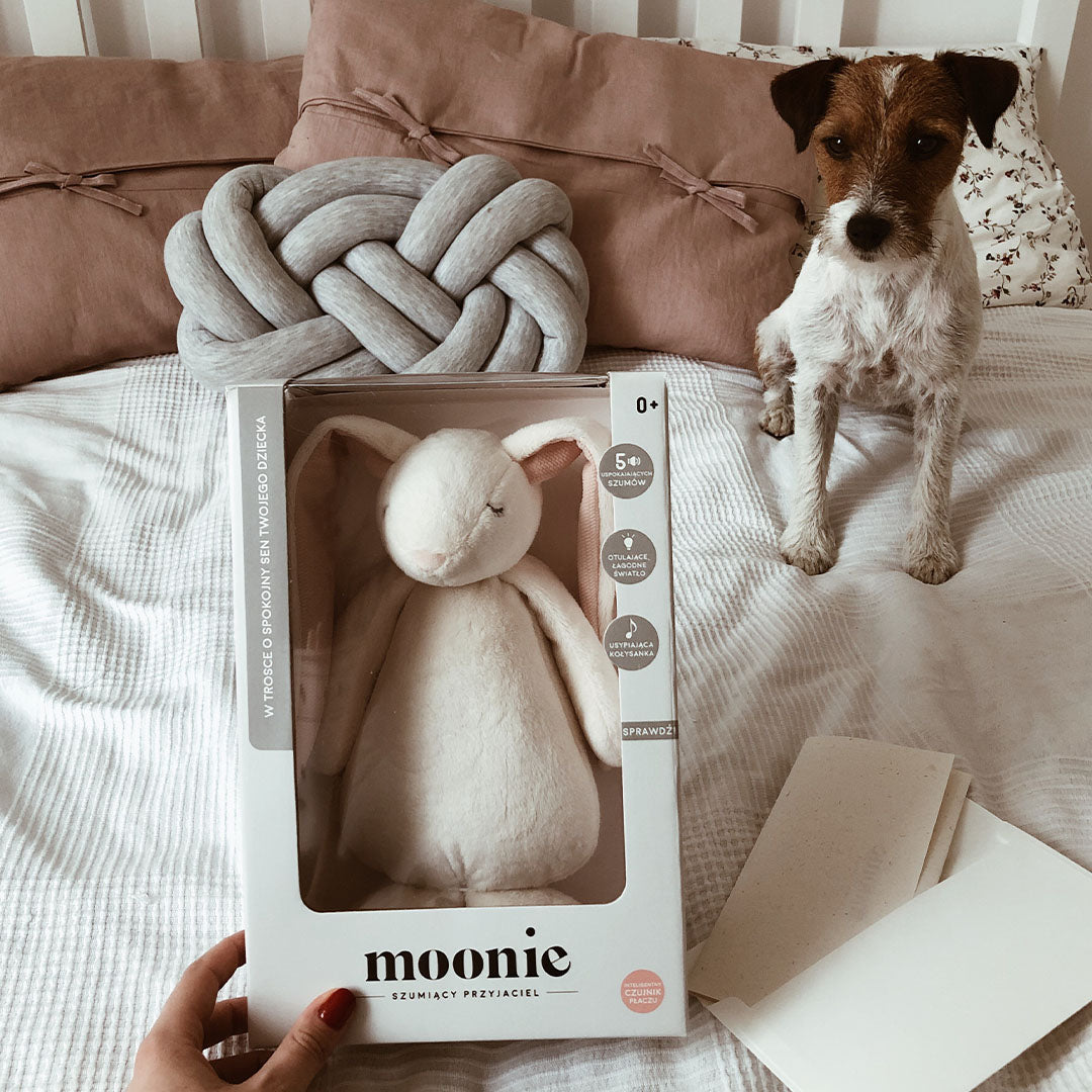 Een hand houdt de verpakking van het Moonie knuffelkonijn vast, naast een kleine hond op een bed.