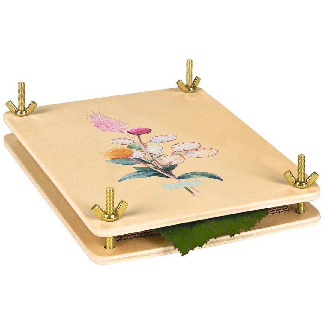 moses. houten blad- en bloemenpers met bloemendecoratie, waar een groen blad uitsteekt.