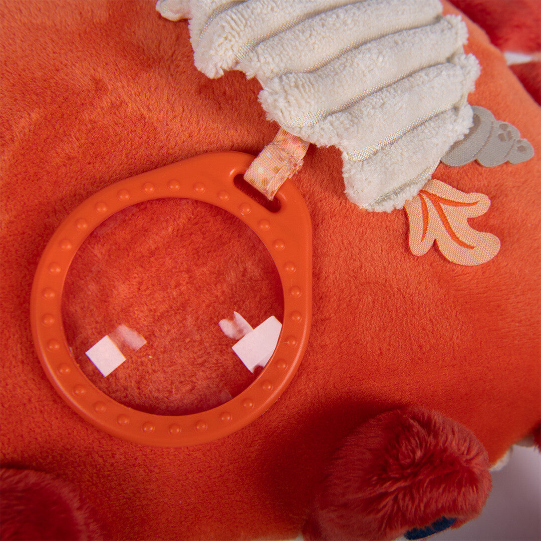 Detail van de rug van de krab met een doorzichtige ring en een witte textuurflap.