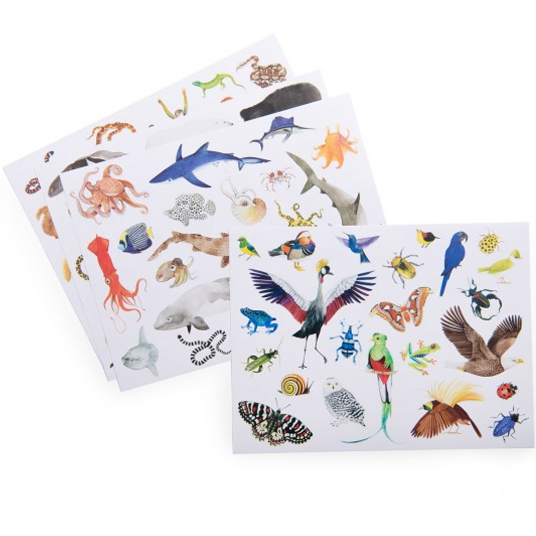 Meerdere vellen met diverse dierenstickers uit de herbruikbare stickerset.