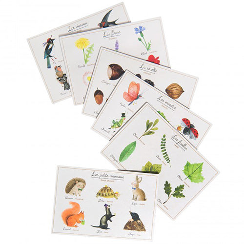 Een collectie Moulin Roty lotto natuur kaarten met illustraties van vogels, bloemen, noten, insecten, bladeren en kleine dieren.