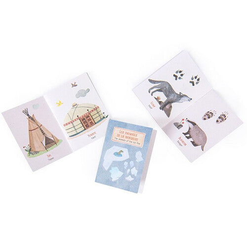 Drie opengeklapte storybooks met illustraties van dieren, een tipi en een yurt.