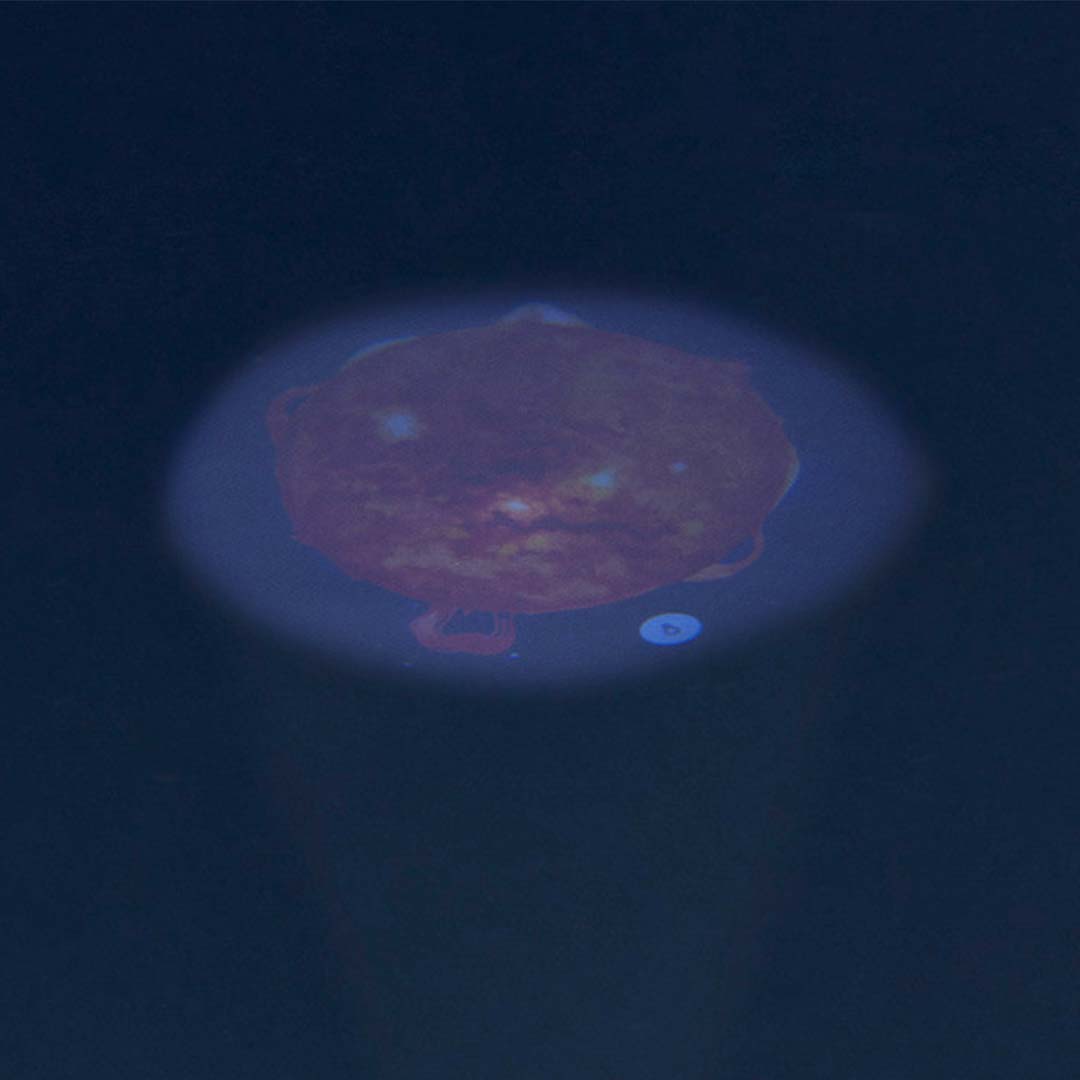 Een geprojecteerde afbeelding van een rode ster of planeet op een donkerblauwe achtergrond.