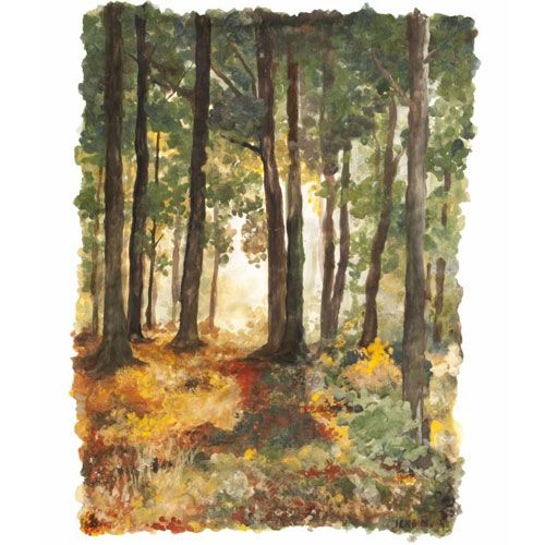 Een aquarel schilderij van een bos met hoge bomen en zonlicht.