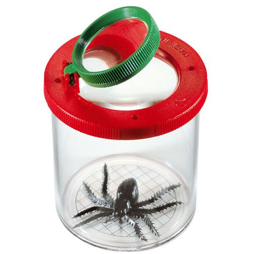 Navir insectendoosje met rode deksel, groen vergrootglas en een zwarte spin erin.