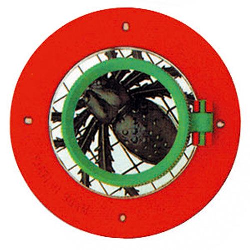 Bovenaanzicht van het Navir insectendoosje met het groene vergrootglas over een zwarte spin op een rooster.