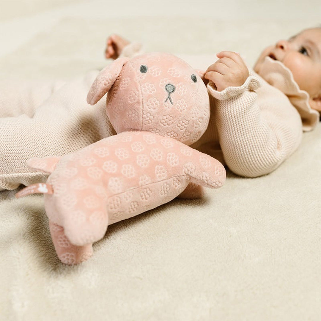 Een baby ligt op een deken naast de Nijntje-Miffy roze pluchen knuffelhond Snuffie.