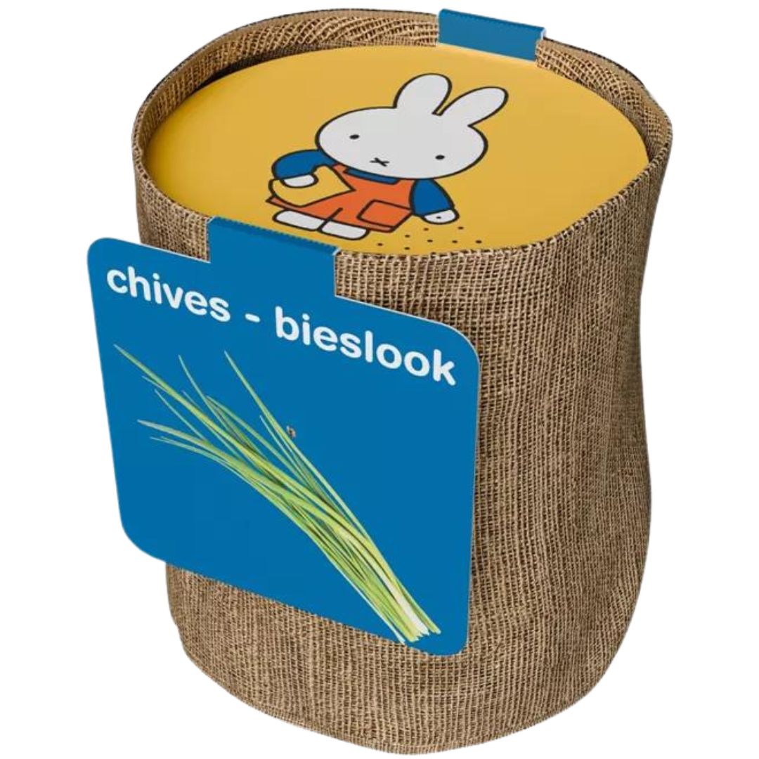 Nijntje kweekset voor bieslook in een bruine stoffen pot met gele deksel en blauw label.