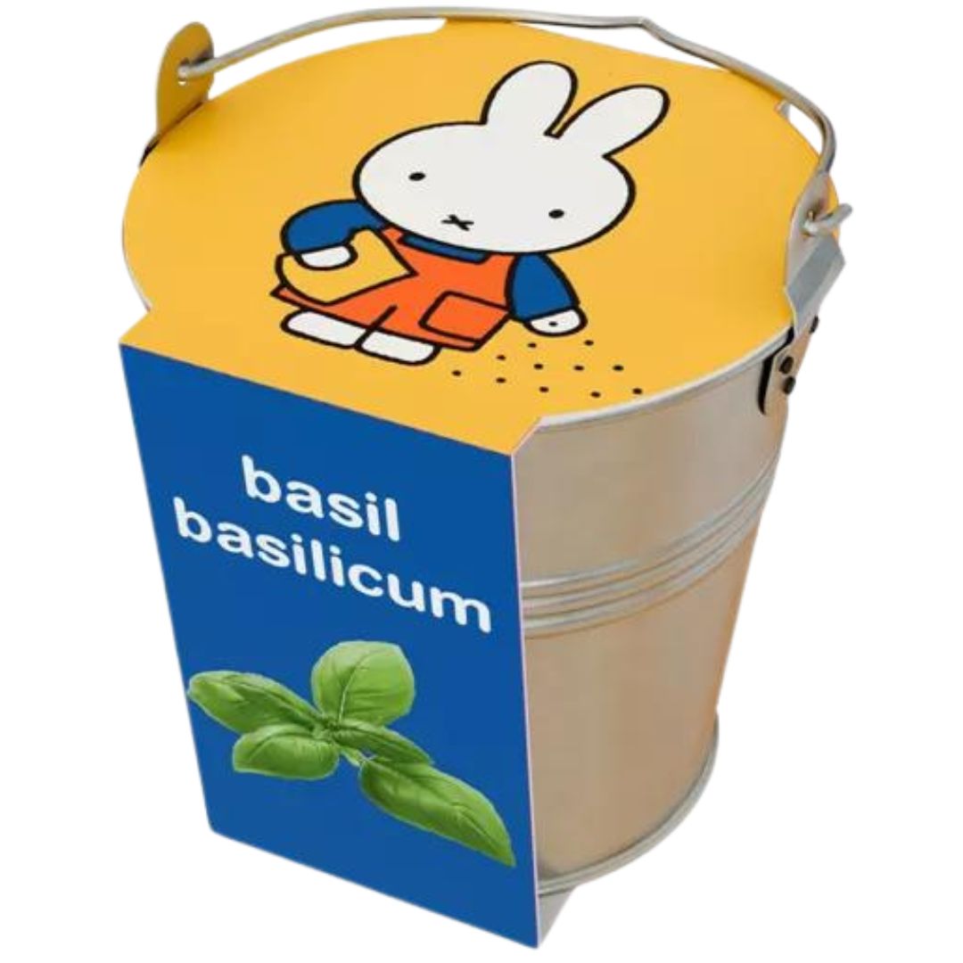 Nijntje kweekset voor basilicum in een zinken emmertje met een blauw label.
