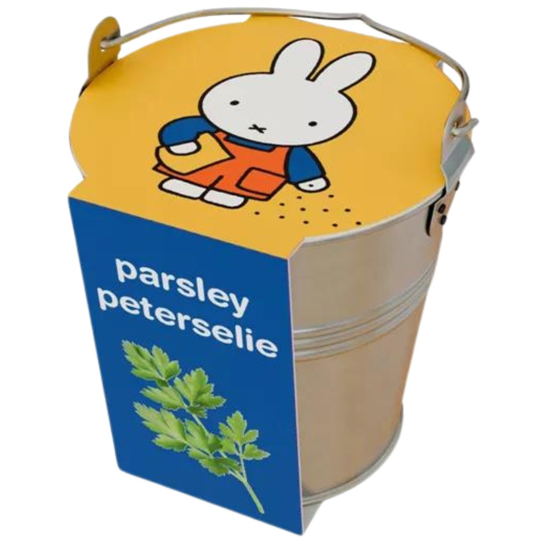 Een Nijntje kweekset voor peterselie in een zinken emmertje met een gele deksel en blauw label.