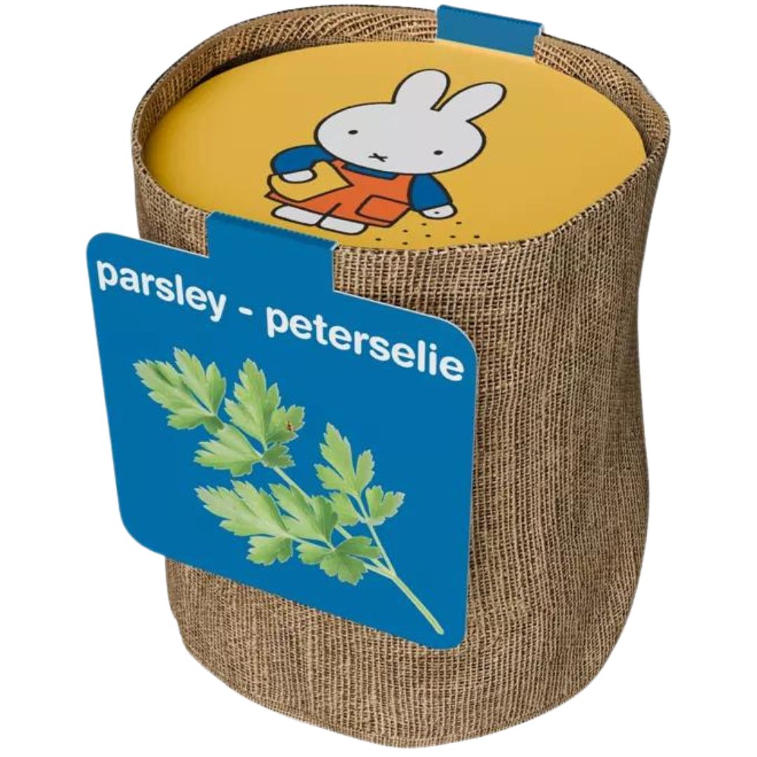 Een Nijntje kweekset voor peterselie in een beige stoffen pot met een blauw label.