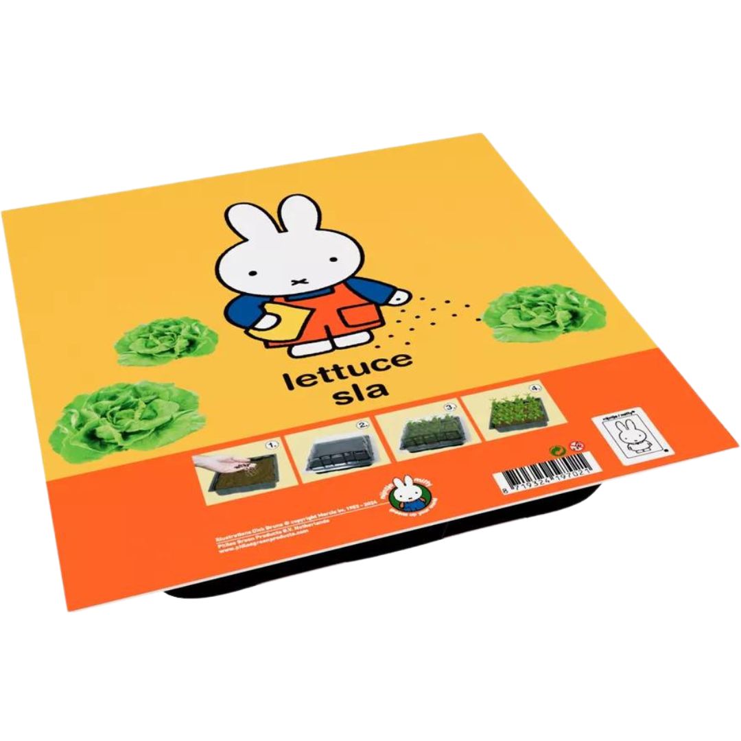 Verpakking van de Nijntje kweekset voor sla, met een gele achtergrond, Nijntje die zaadjes strooit en afbeeldingen van sla.
