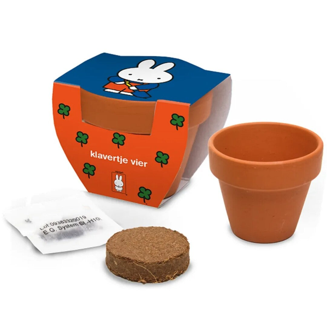 Nijntje mini bloempotje voor klavertje vier, met zaadjes en een gecomprimeerde aarde tablet, naast een lege terracotta pot.