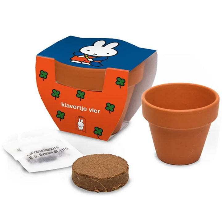 Nijntje mini bloempotje voor klavertje vier, met zaadjes en een gecomprimeerde aarde tablet, naast een lege terracotta pot.