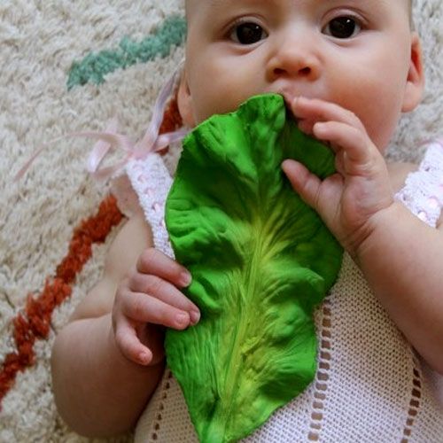 Een baby sabbelt op het groene boerenkoolblad bijtspeelgoed.
