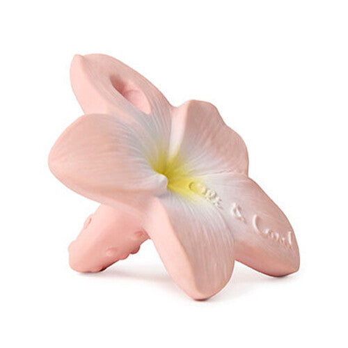 Oli & Carol babyspeelgoed bijtring in de vorm van een roze plumeria bloem, schuin van bovenaf gefotografeerd.