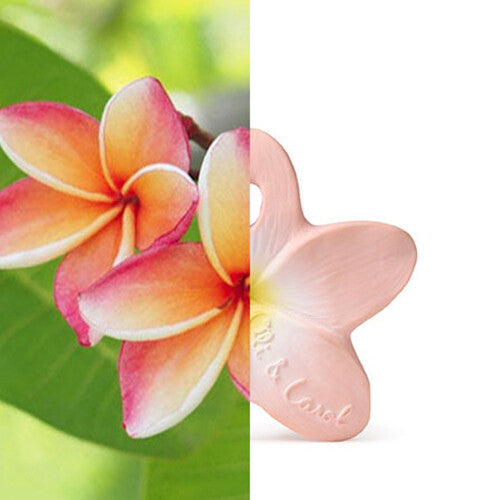 Een vergelijking van een echte plumeria bloem met het Oli & Carol babyspeelgoed bijtring in de vorm van een roze plumeria bloem.