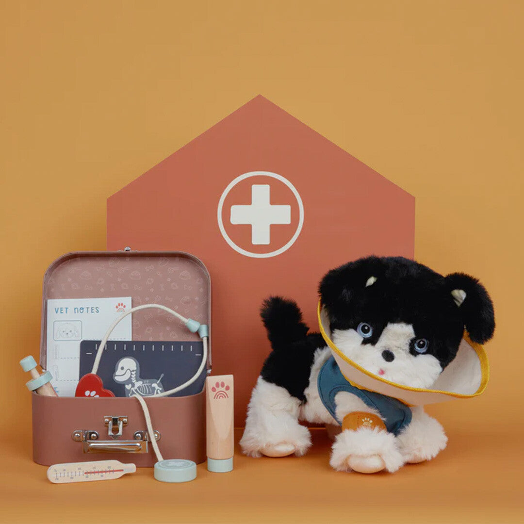 Een pluche hond met een kraag en verband, samen met de dierenarts speelset instrumenten en koffer, op een oranje achtergrond.