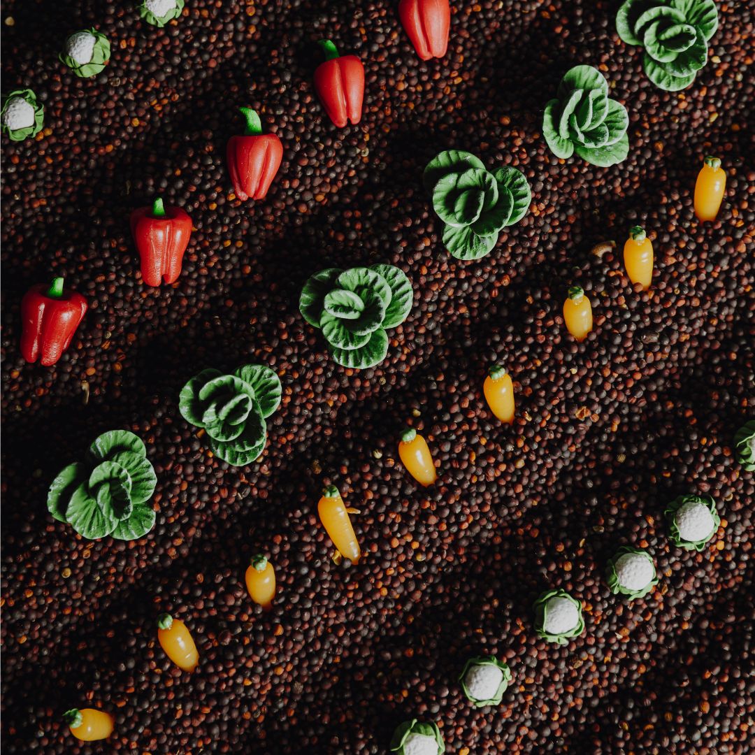 Detailfoto van kleine rode paprika's, groene kooltjes en oranje worteltjes tussen donkere zaden.